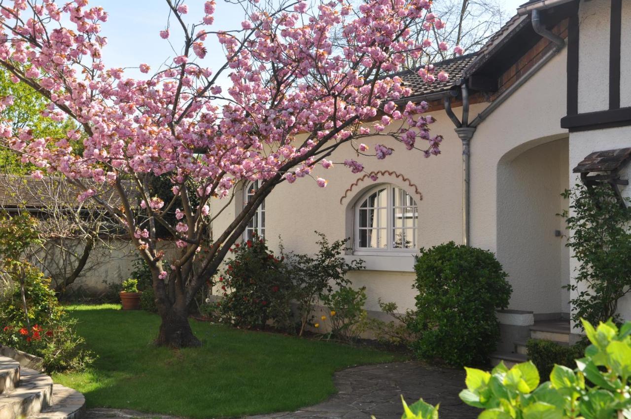 Maison D'Hotes Paris Riverside Saint-Maur-des-Fossés 외부 사진